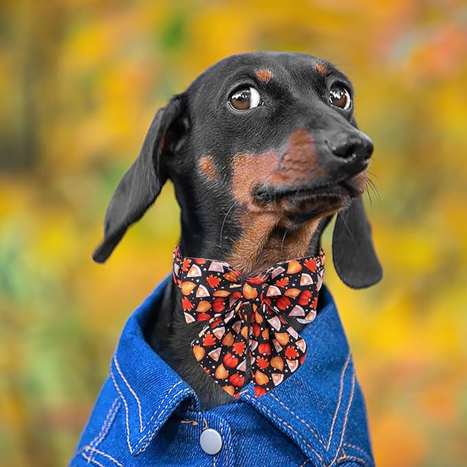 DOGWONG Fall Dog Collar with Bowtie - Fall Dog Collar Soft Cotton Autumn Dogs Necklace - Halloween Puppy Necklace for Small Medium Large Dogs