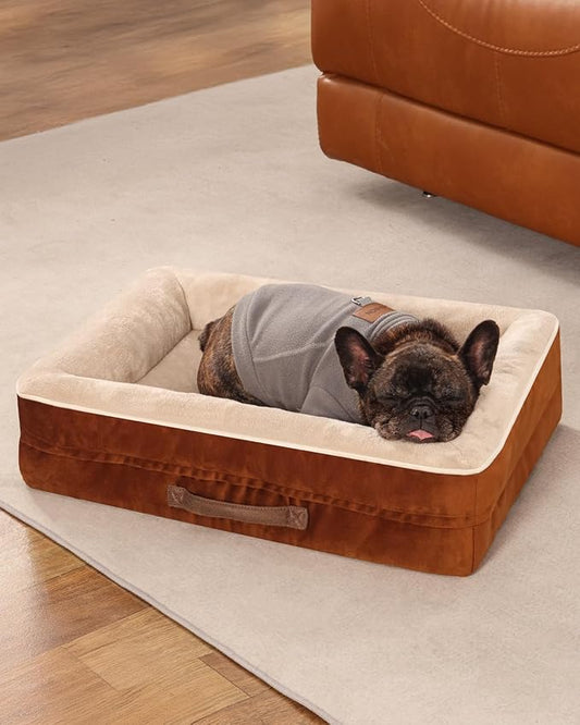 Cat Beds for Indoor Cats, Egg Foam Orthopedic Dog Bed with Removable Washable Cover, Waterproof Cat Couch Bed with Non-Slip Bottom and Four-Sided Bolster Cushion, Brown Dog Beds for Small Dogs