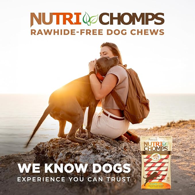 NutriChomps Dog Chews, 6-inch Twists, Easy to Digest, Rawhide-Free Dog Treats, 21 Count, Real Chicken flavor