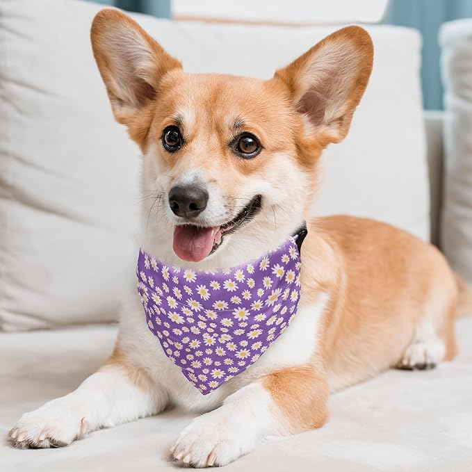 Dog Collars and Bandanas - Soft Adjustable Fancy Floral Boys Girls Puppy Collar for Small Medium Large Dogs.