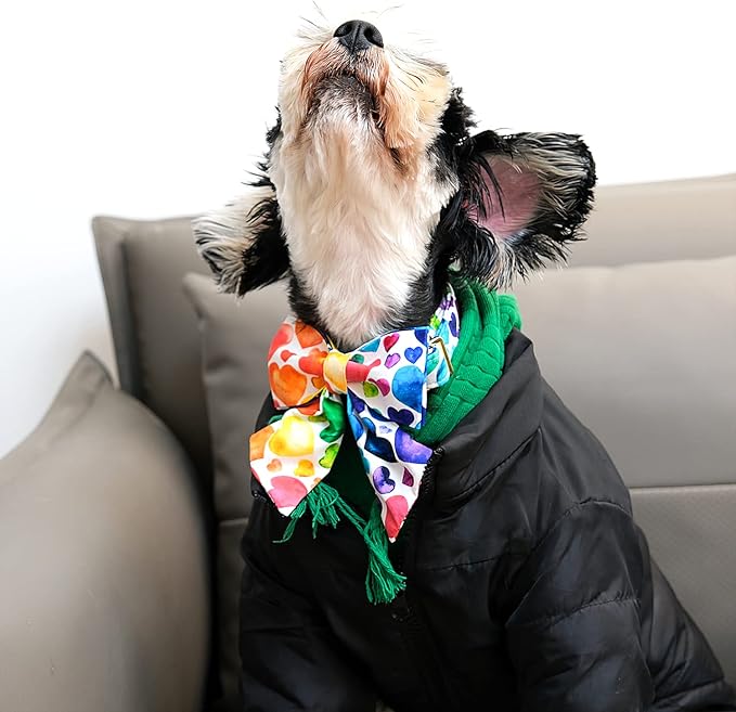 Lionet Paws Valentines Day Dog Collar with Bowtie, Dog Sailor Bow Collar with Metal Buckle for Dogs and Cats, Adjustable Comfortable Dog Collar Girl Gift, XS, Neck 8-12 in