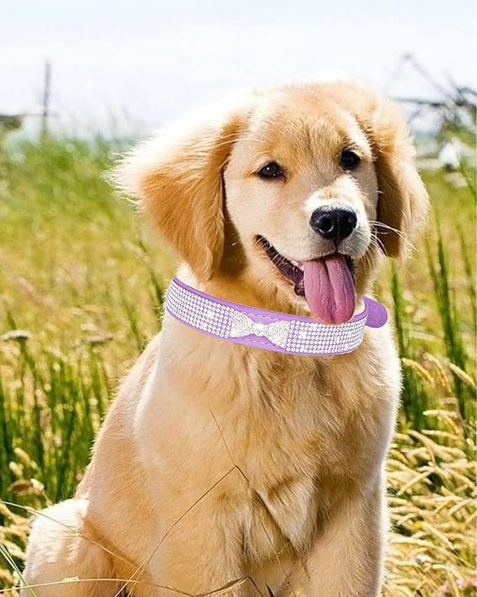 Dog Collar for Small Dogs, Adjustable Leather Suede Bling Dog Collars，Pink Dog Collar Cat Collar, Rhinestone Dog Collar (XS, purple4)
