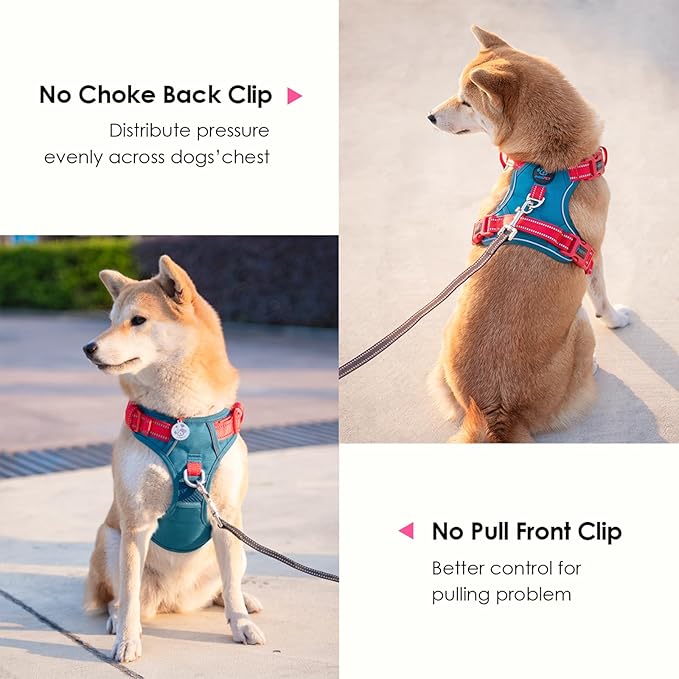 PHOEPET No Pull Dog Harness, Unique Colors Reflective Adjustable Dog Vest, with Soft Training Handle Metal Clips for Small Medium Large Dogs (Teal Base & Red Straps,L)