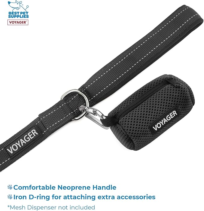 Voyager Step-in Air All Weather Mesh Harness and Reflective Dog 5 ft Leash Combo with Neoprene Handle, for Small, Medium and Large Breed Puppies by Best Pet Supplies - Green, XXX-Small