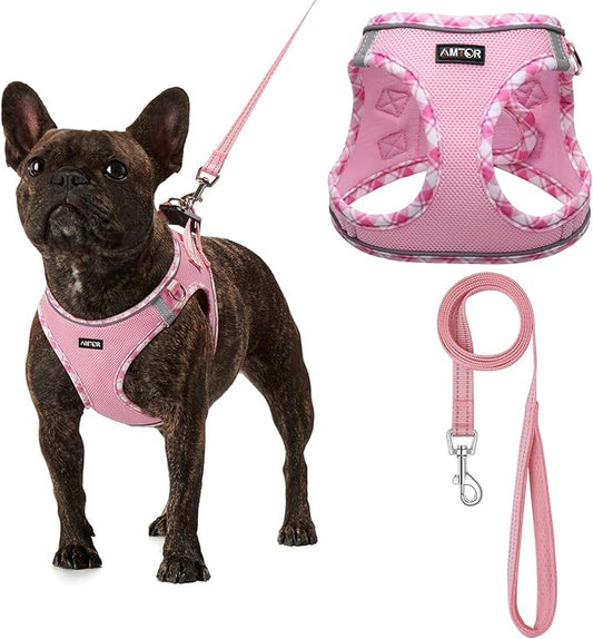 AMTOR Small Dog Harness with Leash Set, No Escape Easy Walk Puppy Harnesses for Training Walking, Step-in Reflective Soft Dogs Vest for XS S Medium Extra-Small Large Sized Dog(XXS Size,Pink/White)