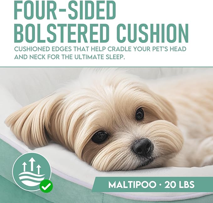 OhGeni Orthopedic Dog Couch Medium Sized Pet Beds for Fathers Gifts with Comfort Foam Support, Soft Indestructible Fabric, Machine Washable Waterproof Removable Cover, 28-Inch (Turquoise)