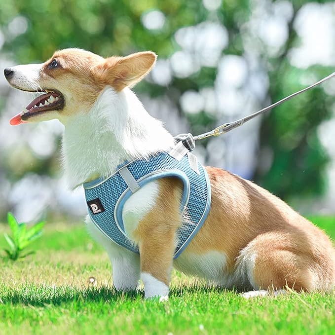Dog and Cat Universal Harness with Leash - Cat Harness Escape Proof - Adjustable Reflective Step in Dog Harness for Small Dogs Medium Dogs - Soft Mesh Comfort Fit No Pull No Choke Light Blue S