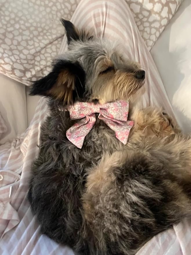 Lionet Paws Design Dogs Collar Cute Flower Sailor Bow Dog Collars for Girl Female Medium Large Dogs with Spring Floral L