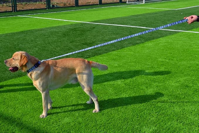 Dog Collar and Leash Set with Bohemia Floral Tribal Geometric Patterns - Soft Ethnic Style Collar Adjustable for Small Medium Large Dogs(Bohemian Blue Set,L)