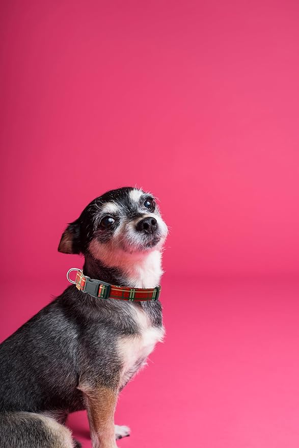 Dog Collar, Cute Stripe Pattern, Soft and Adjustable Collar with Quick Release Buckle (XS (Neck 9-13", Width 3/8"), Stripe Red)
