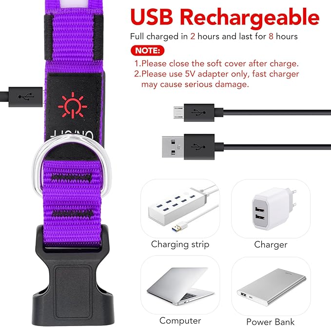 VIZPET LED Dog Collar, Light Up Dog Collar Adjustable USB Rechargeable Super Bright Safety Light Glowing Collars for Dogs (Purple, Large[18.89-23.62 inch/48-60cm])