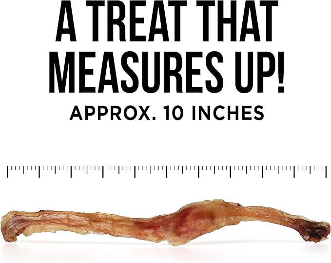 Natural Rapport Beef Tendon Dog Treats - The Only Beef Tendon Chews Dogs Need- All Natural Dog Treats for Small and Large Dogs (5 Chews)