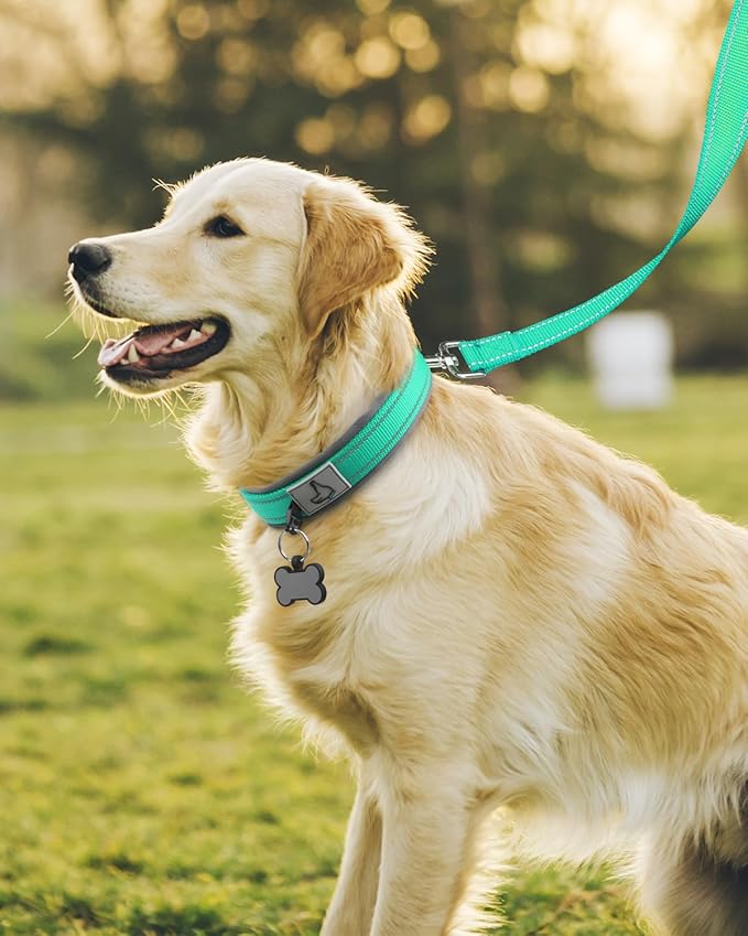 Joytale Dog Collar for Large Dogs, Neoprene Padded and Adjustable, Reflective Wide Heavy Duty Pet Collars with Durable Metal Belt Buckle for Walking, Teal, L