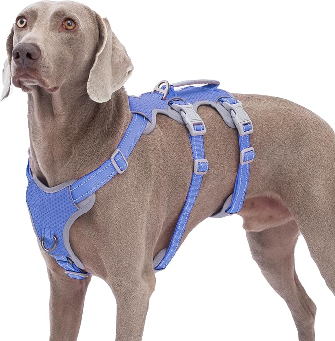 Escape Proof Dog Harness, No Pull Reflective Harness with Lift Handle, Adjustable Pet Vest with Front and Back Leash Clips for Small Medium Large Dogs Walking Hiking Training (Vista Blue,L)