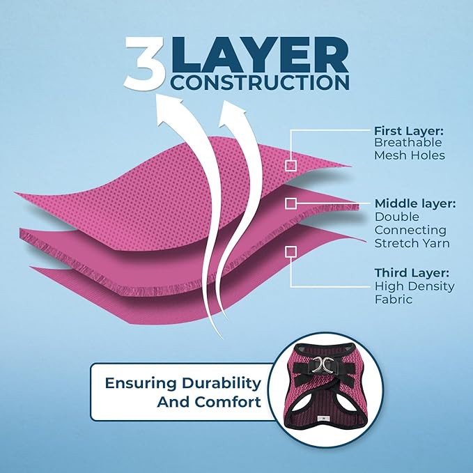 Voyager Step-in Air All Weather Mesh Harness and Reflective Dog 5 ft Leash Combo with Neoprene Handle, for Small, Medium and Large Breed Puppies by Best Pet Supplies - Fuchsia (2-Tone), M