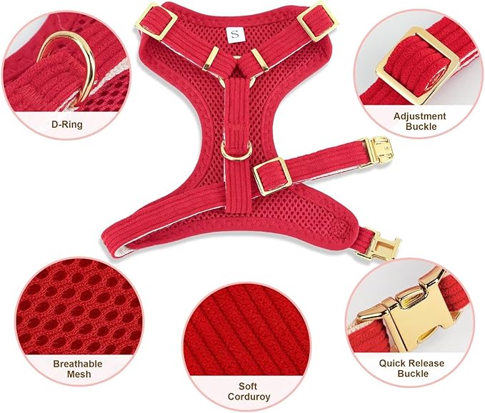 Didog Cute Small Dog Harness Collar & Leash Set, Adjustable Dog Collars and Leashes with Bowtie, Breathable Soft Mesh Padded Dog Vest for Puppies Small Dogs Walking, Red, M