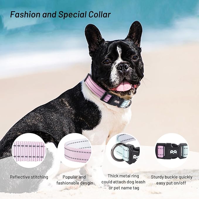 Dog Collar Cute Flower, Reflective Adjustable Basic Collars for Girl Female Small Medium Large Dogs Walking Running(Medium,Purple Blue)