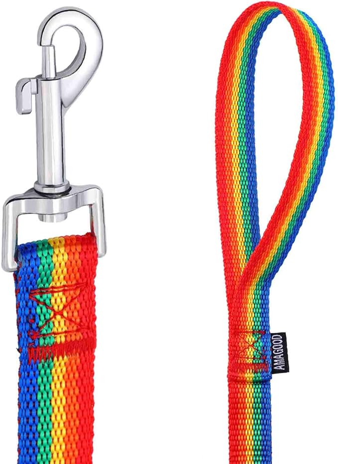 AMAGOOD 6 FT Puppy/ Dog Leash, Strong and Durable Traditional Style Leash with Easy to Use Collar Hook, Great for Small and Medium Dogs (3/4 in x 6 ft(Pack of 1), Rainbow)