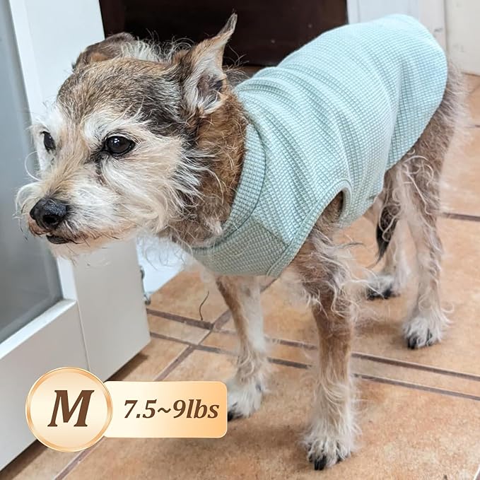 KYEESE 2Pack Dog Shirts Waffle for Small Dogs Stretchy T-Shirts Lightweight Tank Top Sleeveless Vest Breathable Cat Tee, Medium, Blue+Grey