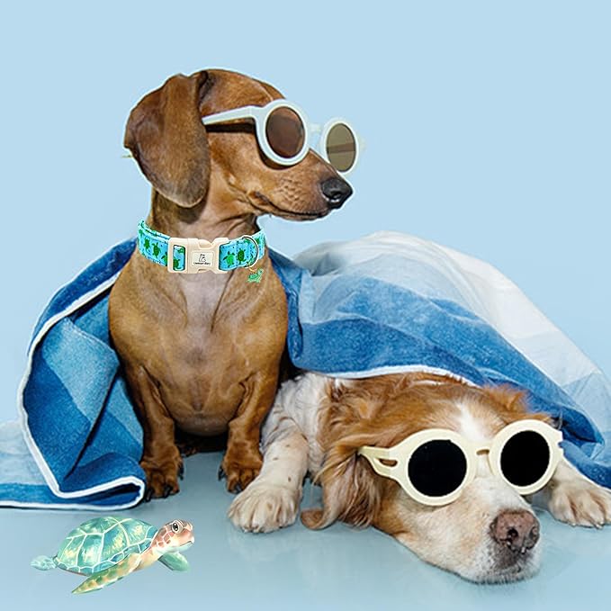 Lionheart glory Dog Collar Blue Sea Turtles Dogs Collar Spring Summer Cute Collars Dog Boy or Girl Soft Durable Adjustable Collars for Large Dogs Pet Gift