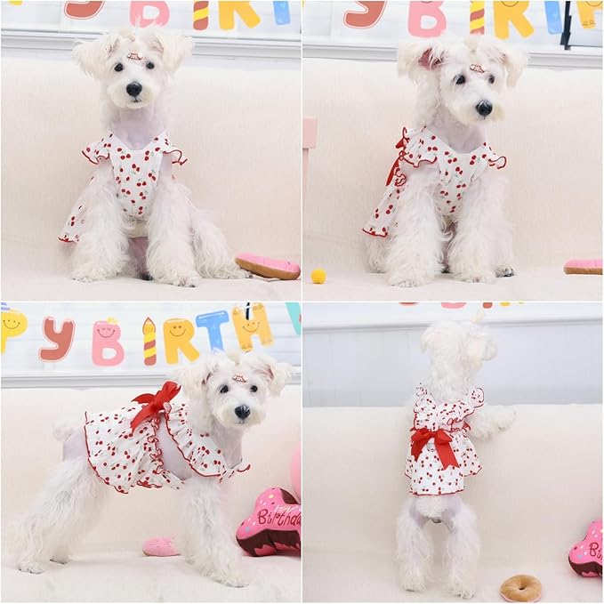 CuteBone Cotton Dog Dress Cherry with Leash Ring & Sleeve Ruffles, Soft & Breathable, Stylish Pet Clothes Outfit for Small Dogs, Comfortable & Easy to Wear CFX01M