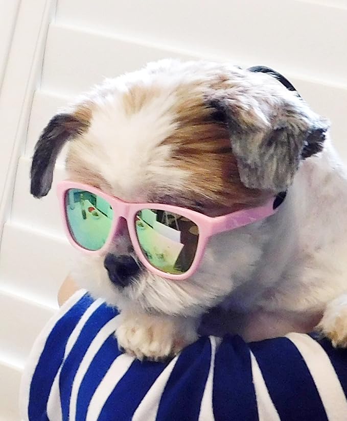 G014 Dog Cat Pet 80s Sunglasses Goggles for Small Breeds up to 15lbs (2-Pack Black+ Pink-Rose Pink Mirror)