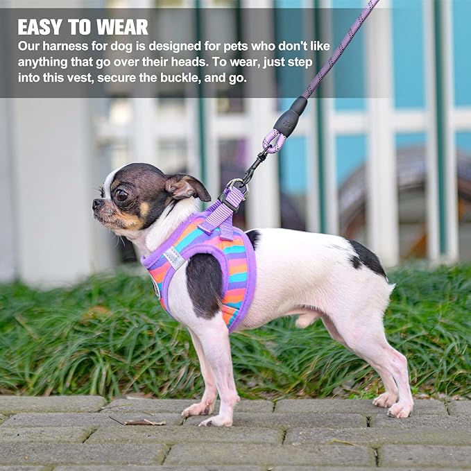 BEAUTYZOO Dog Harness and Leash Set for Small Dogs,No Pull Step-in Harness for Puppy XS S Sized Dogs and Cats,Air Mesh Adjustable Breathable Soft No Chock Escape Proof Vest Harnesses,Striped Purple XS