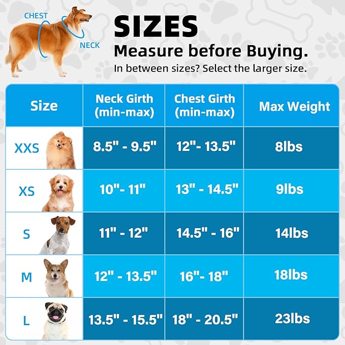 Dog Harness and Leash Set, No Pull Soft Mesh Pet Harness for Small Medium Dogs, Cats - Step in Adjustable Reflective Puppy Harness with Buckle and Double D-Rings - Orange, XXS