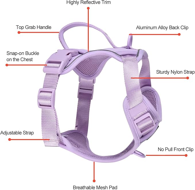 Petmolico Dog Harness for Small Dogs, Cute Harness Vest with Two Leash Clips and Soft Handle, Reflective Easy Walk Puppy Vest - Light Purple, Medium