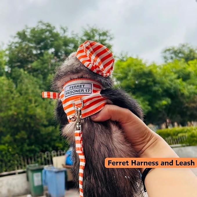 Ferret Harness and Leash - Adjustable Soft Cotton Small Pet Harness with Safe Bell, No Pull Comfort Padded Vest for Ferret, Guinea Pigs, Chinchilla and Similar Small Animals (Orange)