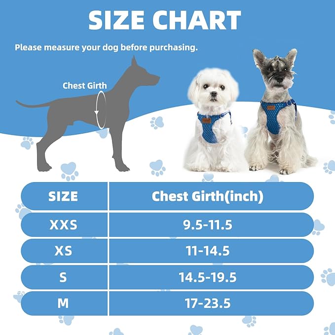 PUPTECK Dog Harness and Leash Set Small Sized, Step-in Cute Puppy Harness, Soft Lightweight Padded Vest, Escape Proof No Pull Pet Harnesses Easy for Walking, Blue, M