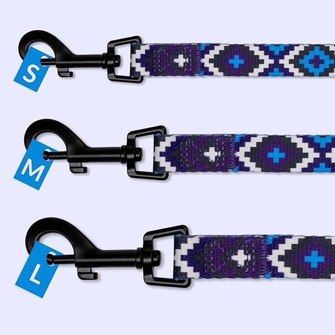 CollarDirect Aztec Dog Leash Nylon Tribal Pattern Cat Pet Leashes for Small Medium Large Dogs Puppy Lead 5 FT Long for Walking (Pattern 2, L, New)