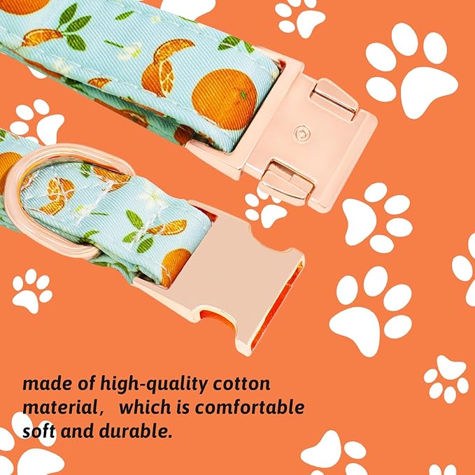 Dog Collar and Leash Set Girls Adjustable Puppy Collars with Fruit Bow Tie for Small Medium Large Female Dogs, Green Orange, M