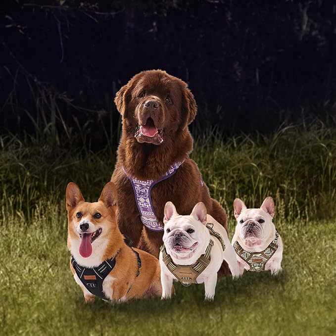 No Pull Dog Harness with 2 Metal D-Rings, Easy on/Off Dog Vest with Neck Buckle, No Need Over Head, Easy Walk Escapeproof No Choke Reflective Breathable, Harness for Large Dogs