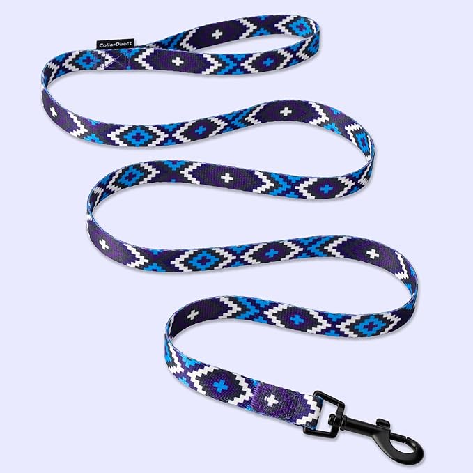 CollarDirect Aztec Dog Leash Nylon Tribal Pattern Cat Pet Leashes for Small Medium Large Dogs Puppy Lead 5 FT Long for Walking (Pattern 2, S, New)