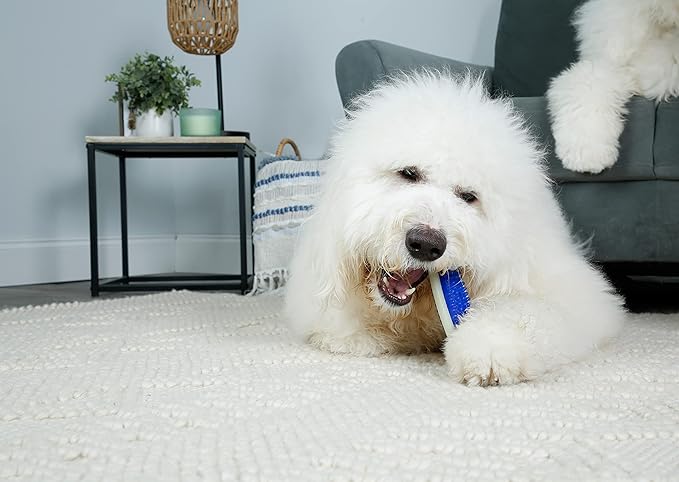 Hartz Chew 'N Clean Tuff Bone Bacon Scented Dental Dog Chew Toy - Extra Large