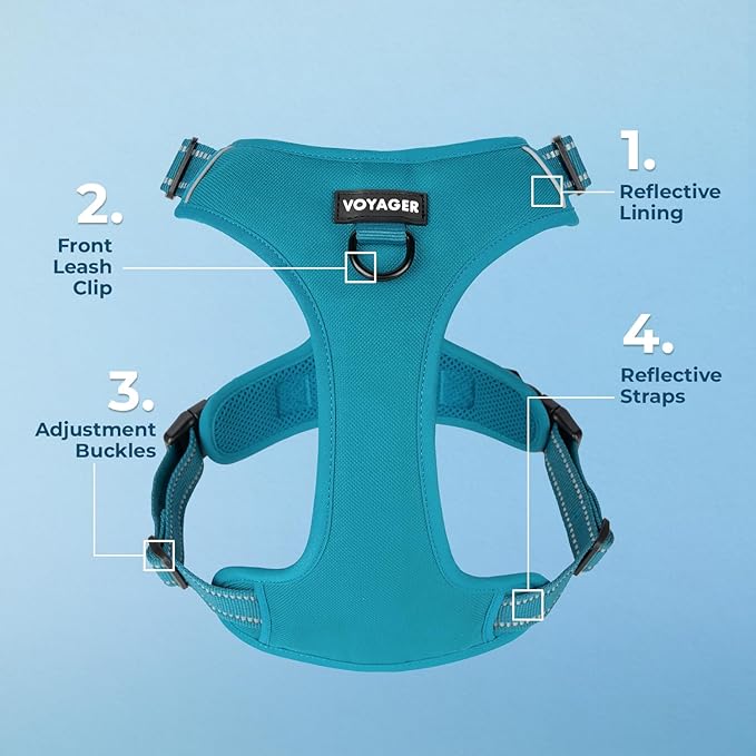 Dog Harness Dual Leash Attachment No-Pull Control Adjustable Soft but Strong Pet Harness for Medium and Large Dogs with 3M Reflective Technology - Turquoise, M (Chest: 20-25") (Pack of 3)