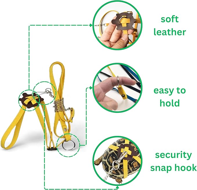 Adjustable Tortoise Leash and Funny Skateboard Set, Training Harness and Mini Skateboard for Turtle Dragon Bearded Lizard Small Pets, Pet Tortoise Toys, Accessories for Tortoises (Small)
