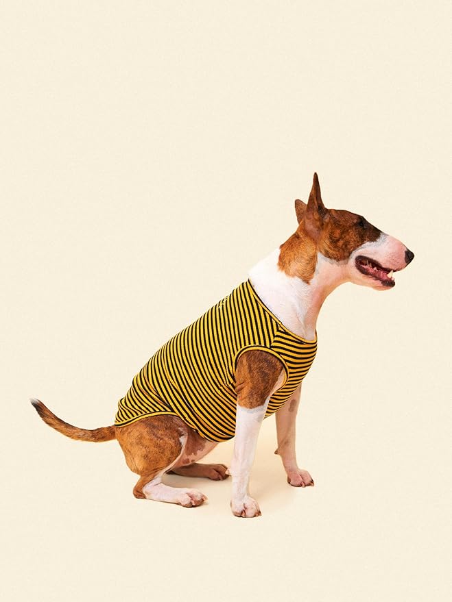 Little Beast Dog Clothes - Pet Clothes for Large, Medium, and Small Dogs (Dog Shirts Come in Multiple Colors and Styles) - Size: Large Dogs, Black/Yellow