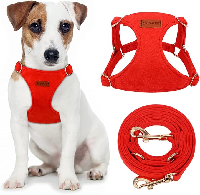 CHEDE No Pull Puppy Harness and Multifunction Dog Leash Set- 8 Colors Soft Adjustable No Choke Escape Proof Cute,Lightweight Pet Vest Harness for Small and Medium Dog (M, Red)