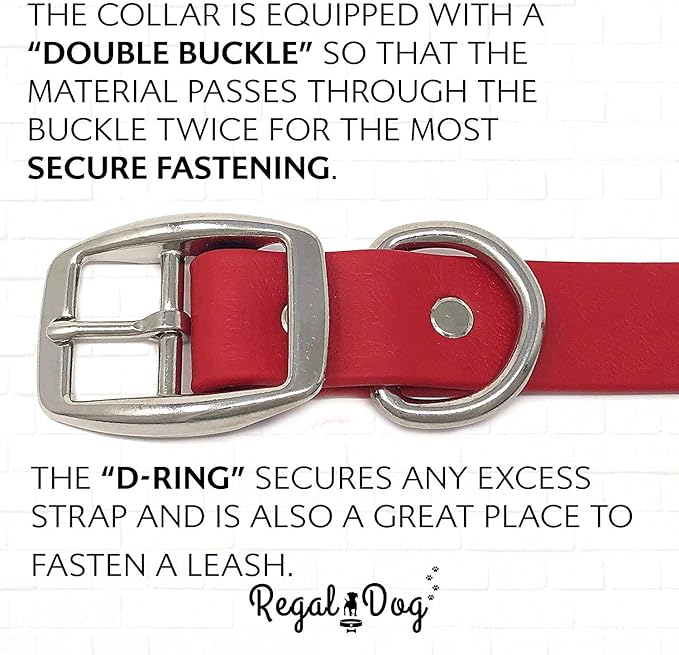 Regal Dog Products Small Red Waterproof Dog Collar and Leash Set | Heavy Duty Double Buckle & D Ring - 5'ft Leash | Adjustable Biothane Dog Collar | Chew Resistant Waterproof Collar for Dogs