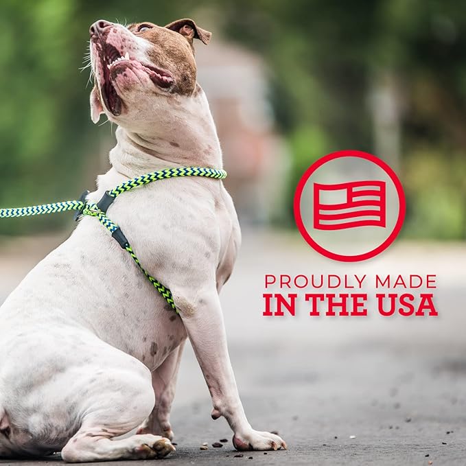 Harness Lead No Pull Dog Harness and Leash Set, Anti Pull Dog Harness, One-Piece Cushioned Rope Safely Prevents Escaping and Pulling *New Insert is Removable (Medium/Large, Purple/Turquoise)