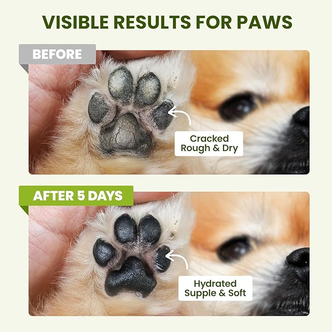 Lick-Safe Dog Paw & Nose Balm with Coconut Oil | All-Natural Paw Cream & Wax for Dry, Cracked Pads & Snouts| Cat Moisturizer & Soother, Nose Butter for Bulldogs| Horse Hoof Care (60 g /2.1 oz)