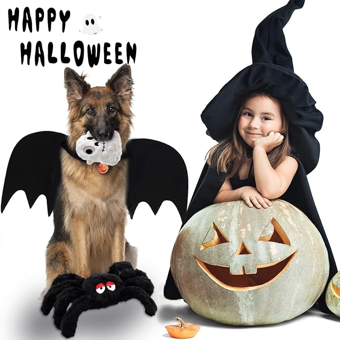 Squeaky Dog Toys Dog Chew Toy Plush Aggressive Stuffed for Puppies- Funny Dog Toys, Spider + Ghost, 2-Pack Everyday Presents Holiday Surprises Gift to Small and Medium Breeds PUPS