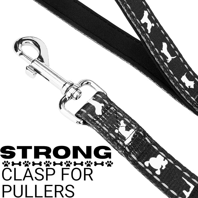 EcoBark Dog Leash - Soft & Reflective Comfort Training Leashes with Padded Handle - Strong Durable Heavy Duty - Training and Pulling for Small, Medium or Large Dogs (Black)