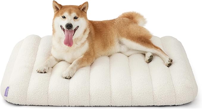 Lesure Cute Orthopedic Dog Bed Medium Size Dog, Waterproof Chic Flat Pet Beds with Removable Washable Cover, Fuzzy Thick Egg Crate Foam Pet Mat for Indoor Use (30" x 20", Cream)