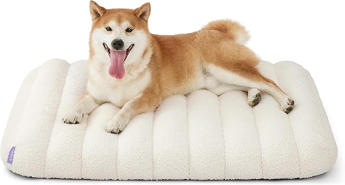 Lesure Cute Orthopedic Dog Bed Medium Size Dog, Waterproof Chic Flat Pet Beds with Removable Washable Cover, Fuzzy Thick Egg Crate Foam Pet Mat for Indoor Use (30" x 20", Cream)