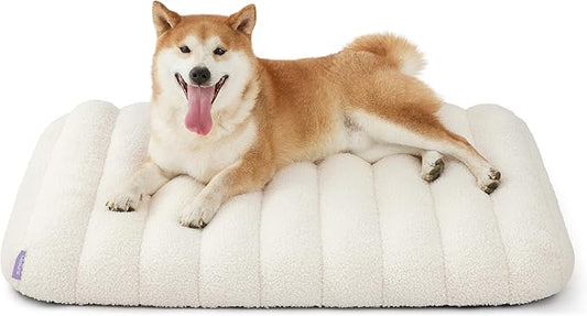 Lesure Cute Orthopedic Dog Bed Medium Size Dog, Waterproof Chic Flat Pet Beds with Removable Washable Cover, Fuzzy Thick Egg Crate Foam Pet Mat for Indoor Use (30" x 20", Cream)