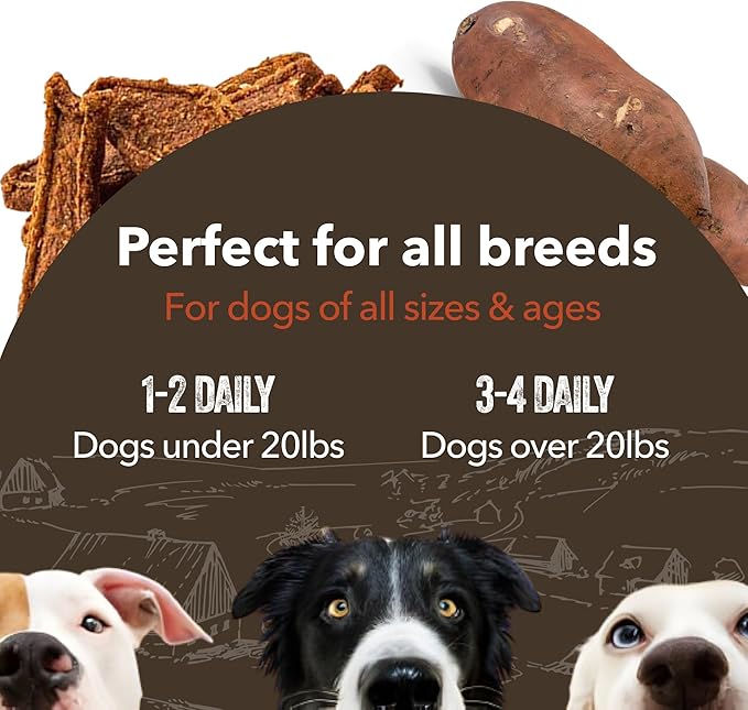 Gaines Family Farmstead Salmon & Sweet Potato Fillets, All-Natural Dog Treats – Wild Caught Alaskan Salmon, Soft Chew, Limited Ingredients, Healthy Snack for Dogs, 40 oz Pouch