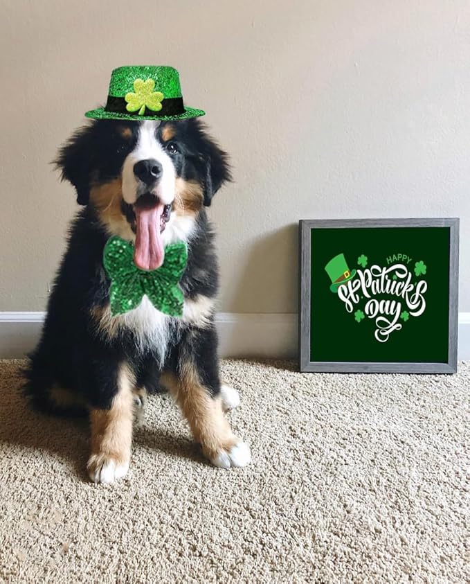 Dog St. Patrick's Day Costume, St Patricks Day Pet Outfit Green Shamrock Hat Bow Tie Collar for Small Medium Large Dogs (Green Shamrock)